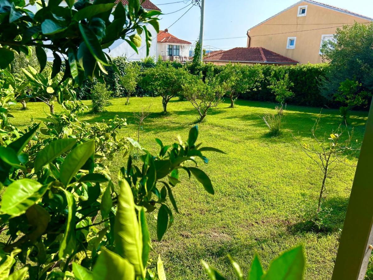 Apartman Mary *